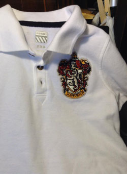 Applique on Polo